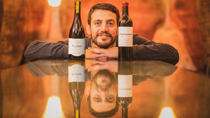 Que es El Linze 2023. Un año más a la vanguardia de los vinos españoles de calidad