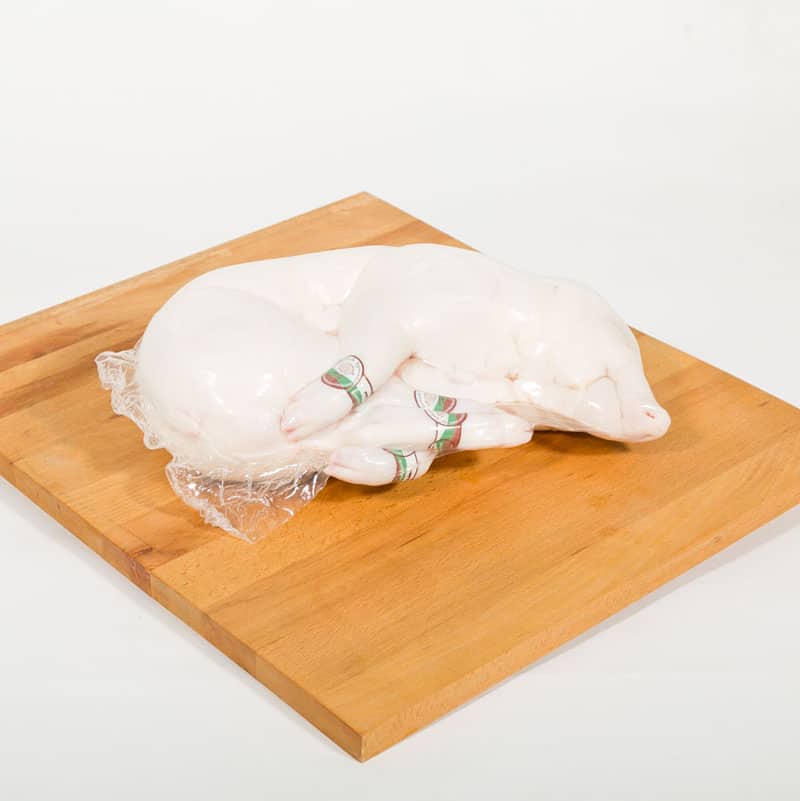 COCHINILLO-EXTRA_-fresco